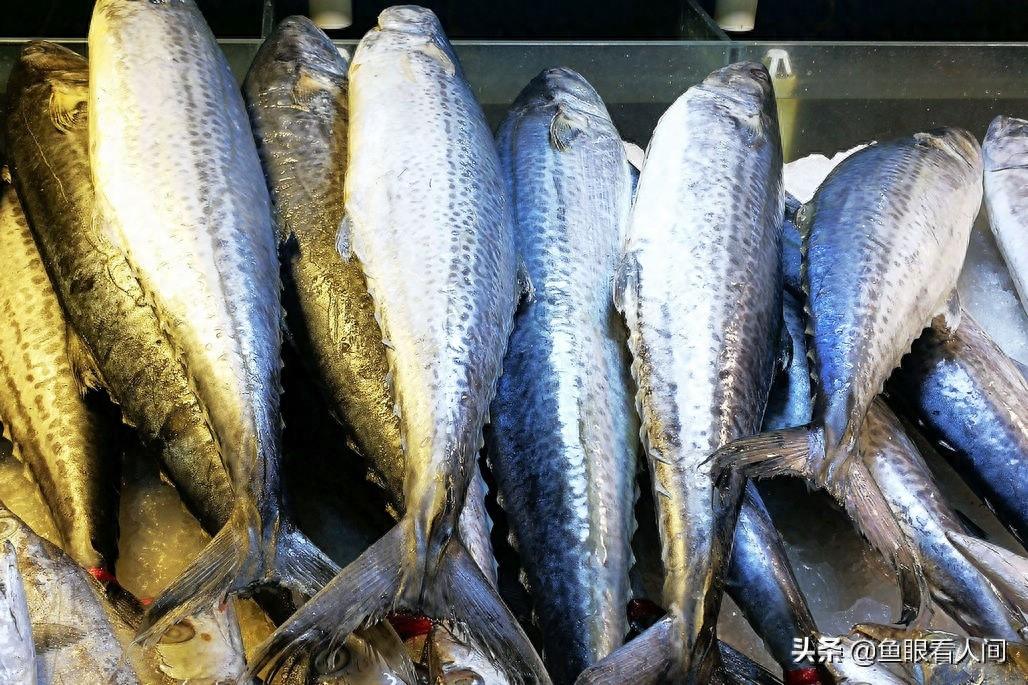 海鲜市场适合普通市民的海鲜 鲜梭鱼15元一斤 买年货的好去处