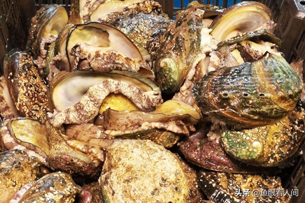 海鲜市场适合普通市民的海鲜 鲜梭鱼15元一斤 买年货的好去处