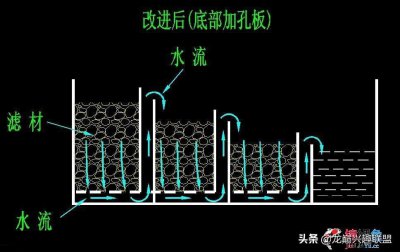 ​带大家一起图解几种过滤方式，快来选择适合自己鱼缸的过滤