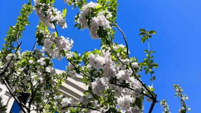 ​“众口铄金，积毁销骨”，如果象棋录音门是假的，后果自负！