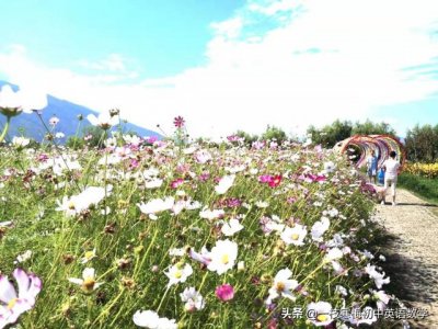 ​危害的英文(自然危害的英文)