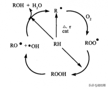 ​抗氧化剂有哪些种类（抗氧剂的分类、作用机理及研究进展）