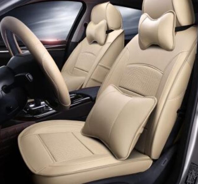 狗狗不晕车训练方法（狗狗8个星期学会开车很厉害）(7)