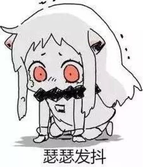 狗狗不晕车训练方法（狗狗8个星期学会开车很厉害）(2)