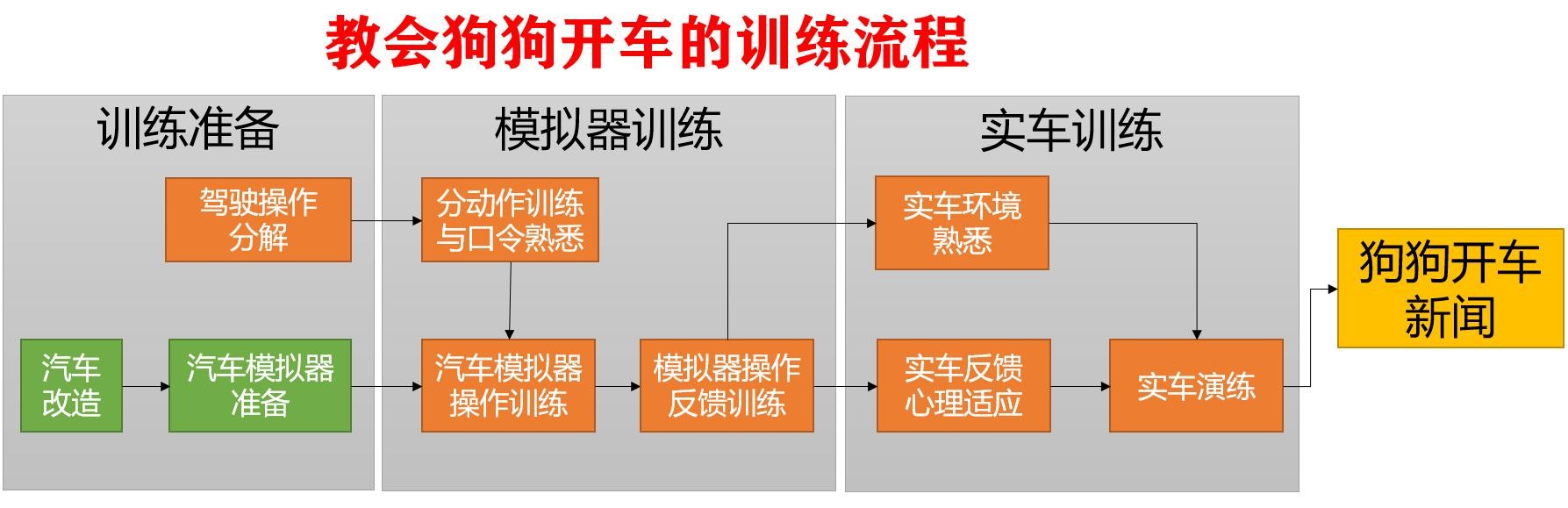 狗狗不晕车训练方法（狗狗8个星期学会开车很厉害）(18)