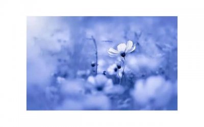 ​女人如果喜欢一个男人会有什么表现(会有这两个表现)