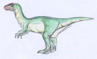 乌龟的远亲  斯龙