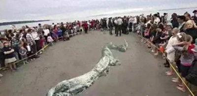 ​1944年，松花江“坠龙”事件，百人目睹黑龙坠落消失，真相如何？