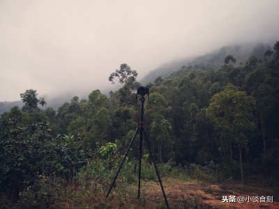 ​这16种野味农村最常见，遇到不要馋，除了蝙蝠，它们也是“危险”